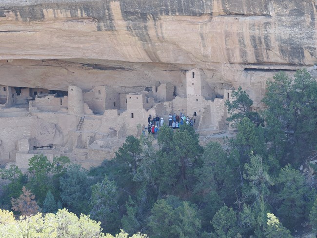 Many people stand in a circle around a kiva within an ancient stone dwelling built in an alcove with a forest approach.