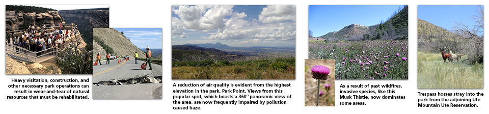A variety of images showing environmental factors such as declining visibility and the invasive musk thistle.