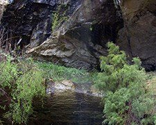 Water trickling down cliff face, surrounded by green plants