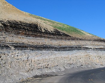 Cross-cut of hillside showing black, horizontal lines through tan-colored rock.