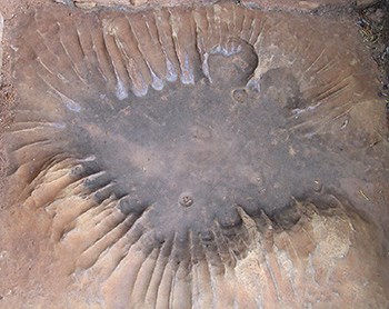 A star-shaped indentation on a sandstone surface.