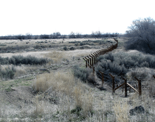 View of the reconstructed barb wire fence along the 1.6 mile walking trail.