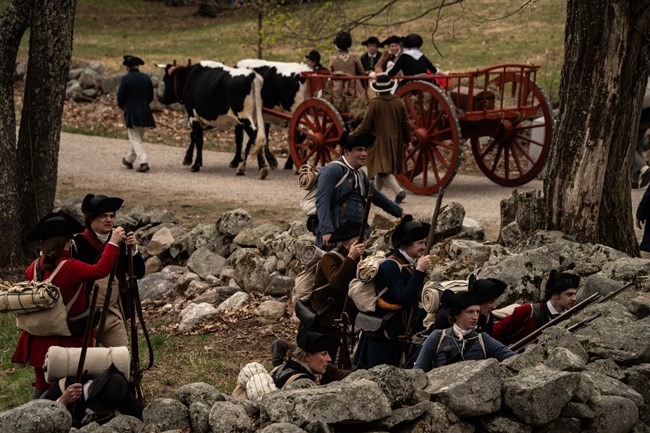 A group of 1775 militia soldiers hide behind a wall as a wagon with civilians is pulled be oxen behind