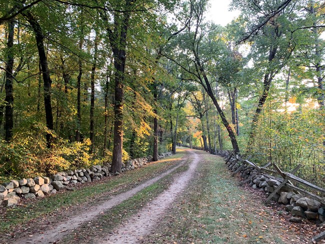A long dirt road flanked by stone walls and wood lots. Bright sun rays cut through the trees illuminating segments of the road.