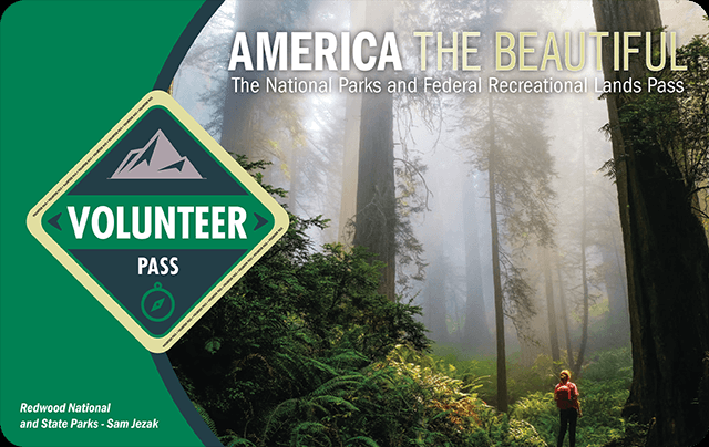 The Volunteer pass showing an image of Redwood Forests with a green volunteer logo on the left side