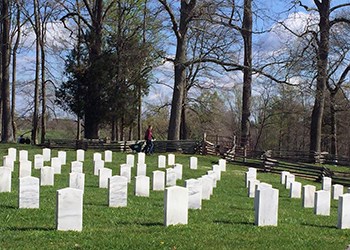 Person walks under trees along fence and rows of white headstones in field