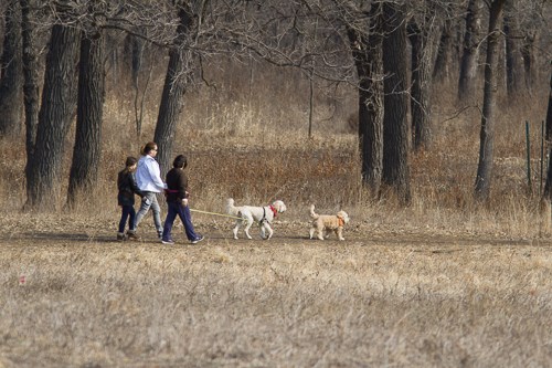Two people walking their dogs.
