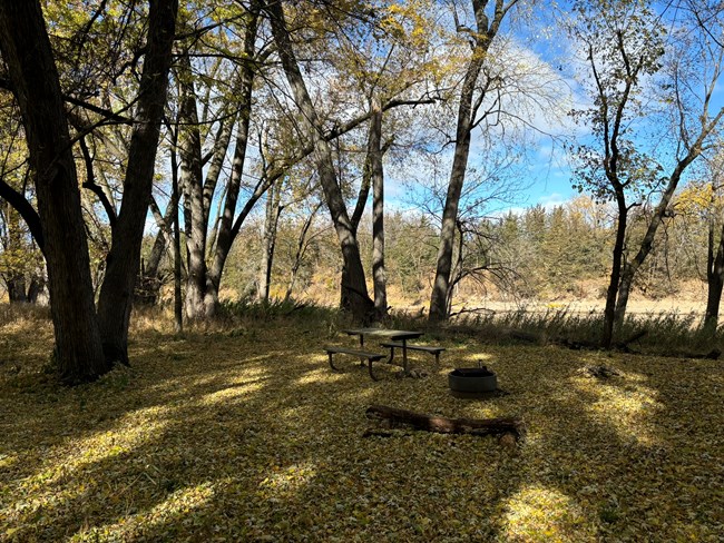 A river campsite with a fire grate and pictnic table