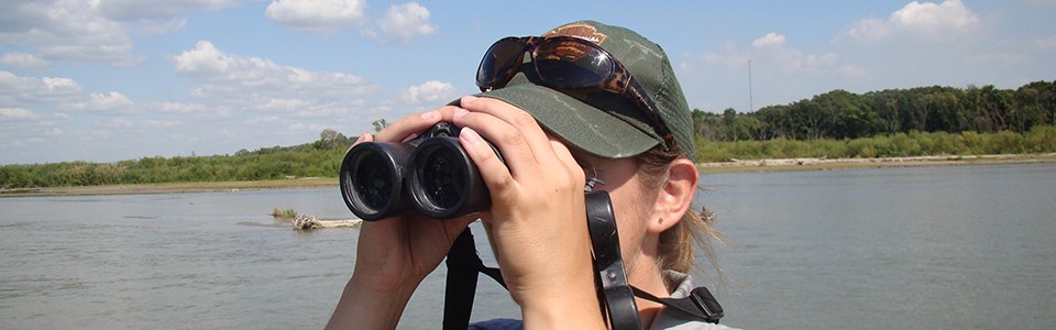 Working for the National Park Service often involves watching wildlife.
