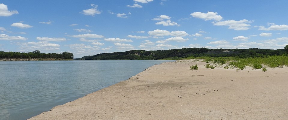 View downriver from a wide sandy beach at Bow Creek Recreation Area.