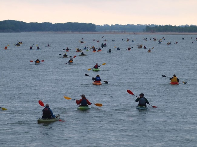 About 60 kaykers paddle on the river with their backs to the camera and boats pointed at a sandbar in the background