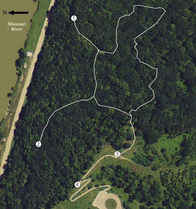 Green background with a white line traces the path for the Mulberry Bend Overlook nature trail.