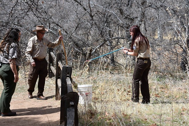 Volunteers and rangers catch a rattlensnake