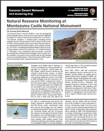 2009 MOCA brief image