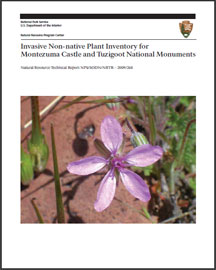 Invasive Non-native Plant Inventory