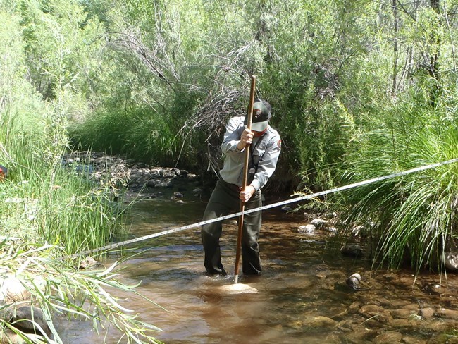 Man with pole stands in shallow stream behind transect tape