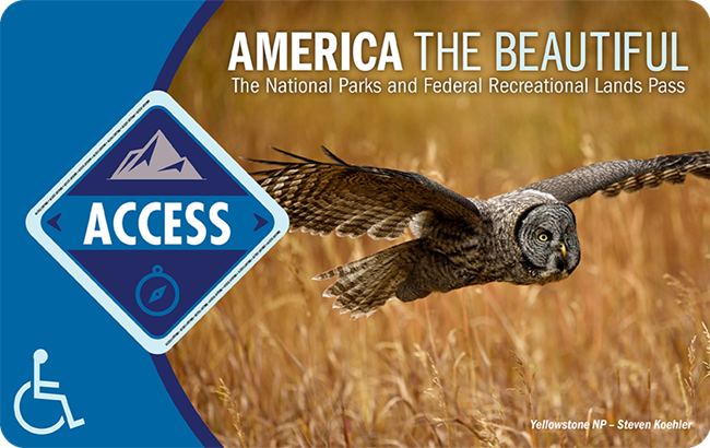 A blue park pass featuring an image of an owl and the text "America the Beautiful, the national park and federal recreation lands pass: access"