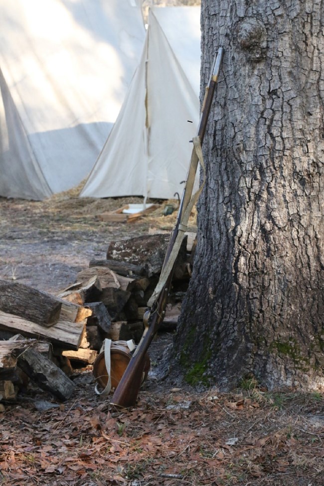 Musket leaning against a tree in camp.