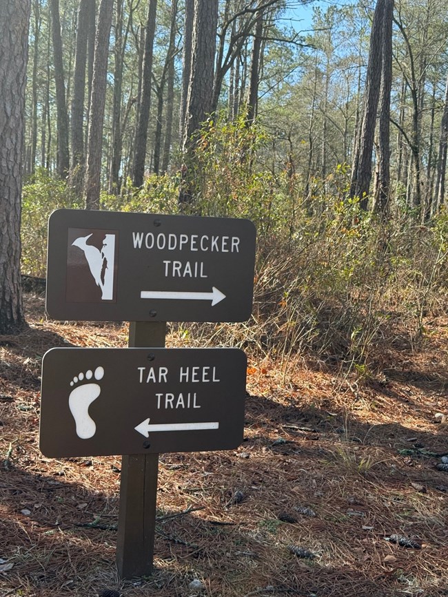 Two trail signs point the way for hikers. The "WOODPECKER TRAIL" sign has a woodpecker silhouette and points to the right. The "TAR HEEL TRAIL" sign has a footprint silhouette and points to the left.