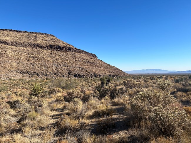 Black Canyon Campground Overview