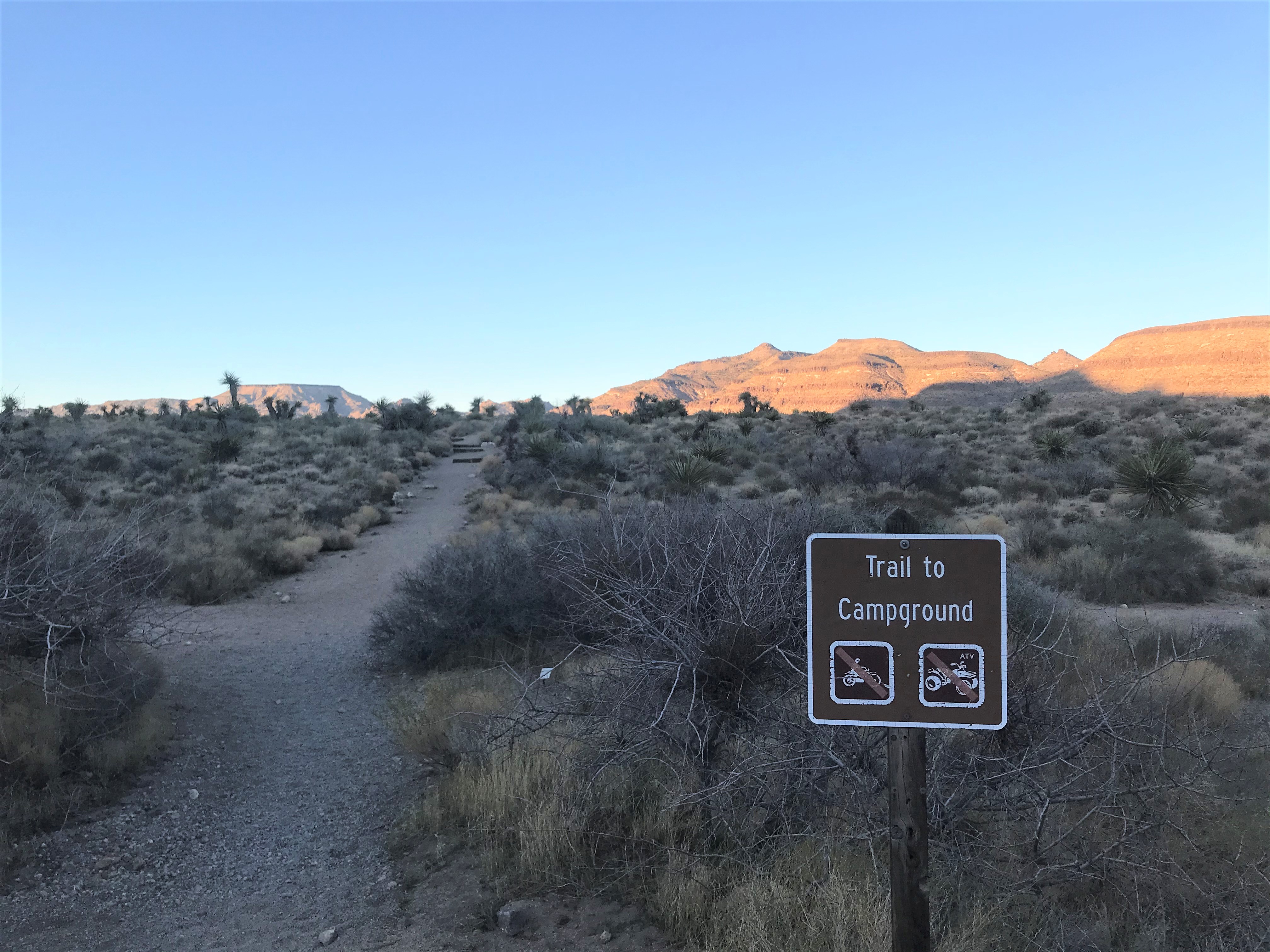 Sunset on a trail through desert creosote that connects the Hole-in-the-wall visitor center to the campground. Light illuminates distant hills with foreground in shadow.