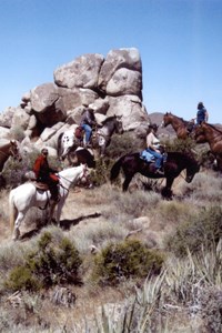 Horses are welcome at Mojave National Preserve!
