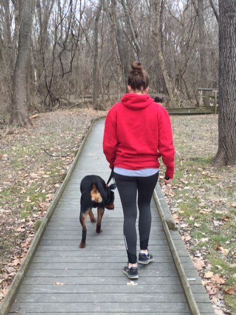 Owner and dog walk on a boardwalk trail