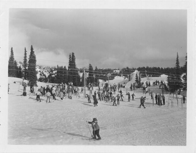 Skiers using a rope tow at Paradise in 1964.