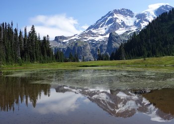 A glaciated mountain and forested hillsides reflects in the still waters of a pond.