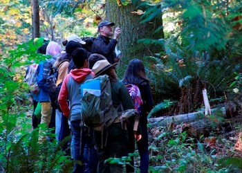 Students grouped around a teacher look up at the forest surrounding them.