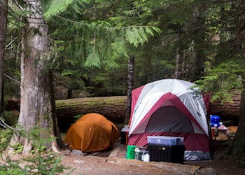 A tent and supplies set up in a campsite surrounded by trees.