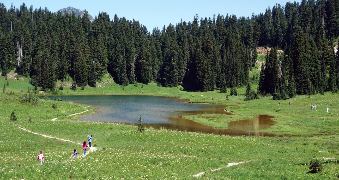 A group of hikers spreads out along a winding single-track trail surrounded by green grasses. A lake and trees are in the background.
