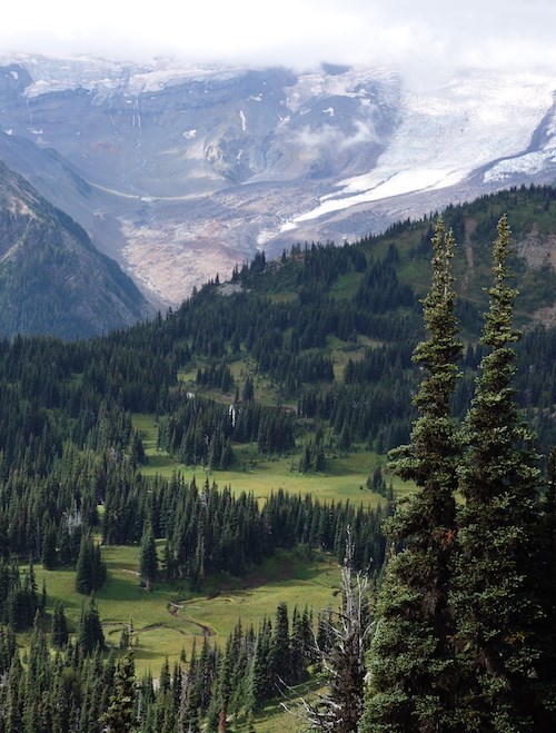 Patches of meadow and clumps of fir trees on a mountain slope beneath a glacier.