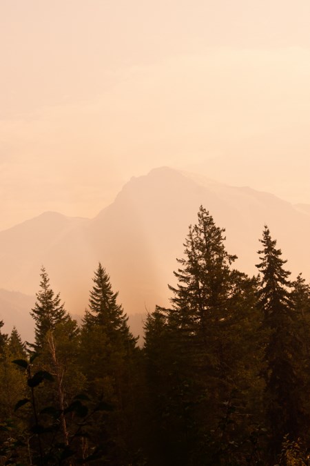 Heavy smoke conditions deeply impair the view of Mount Rainier from Longmire
