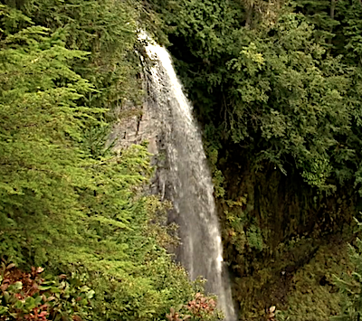 A narrow waterfall plunges into a heavily forested valley.