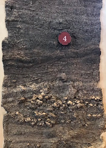 Layers of different ash and debris attached to a board, with one layer marked by a label "4".