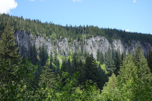 Steep grey cliffs along a forested ridge.