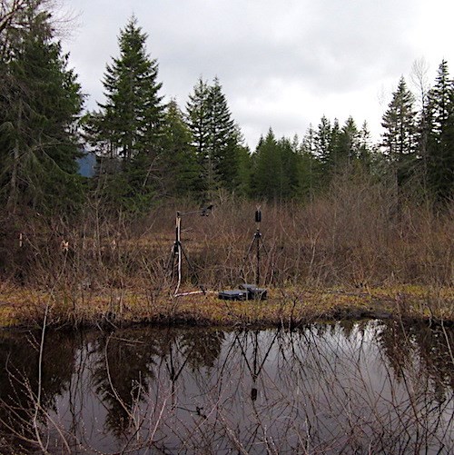 Microphones and other equipment set up on two tripods next to a pond surroounded by willows.
