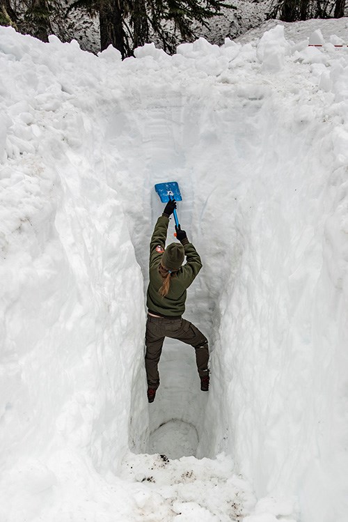 In a narrow, deep snow pit, a woman in a ranger uniform braces her feet in the snow on the sides of the pit and uses a short shovel to scrape a layer of snow from the side of the pit.