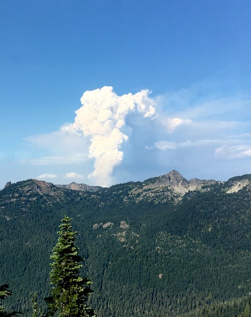 A thick white plume of smoke rises from behind a forested mountain ridge.