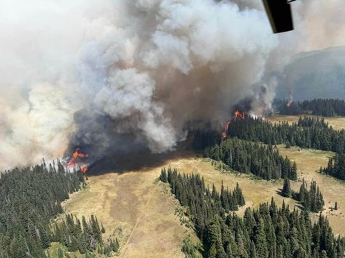 An aerial view of a fire and billowing smoke can be seen engulfing a dry meadow interspersed with trees.