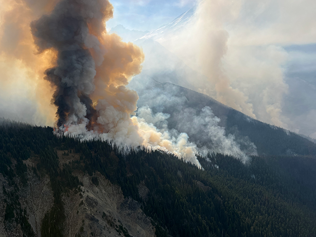 Large, brown-grey smoke billows up from a forest on a steep slope above a river valley.