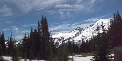 Still image from the Sunrise Mountain webcam showing Mount Rainier and a semi-forested meadow.