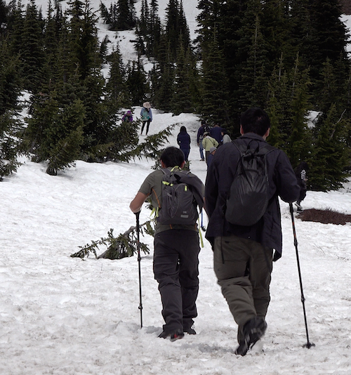 Two hikers with hiking poles and backpacks follow other people up a snow covered slope.