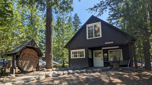 A brown cabin and large slice of a tree trunk sit on a small hill surrounded by trees