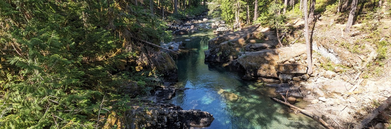 A shallow turquoise river flows through a rocky ravine, with steep banks covered with evergreen trees.