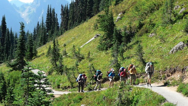 Several hikers with large packs walk along a trail through subalpine meadows.