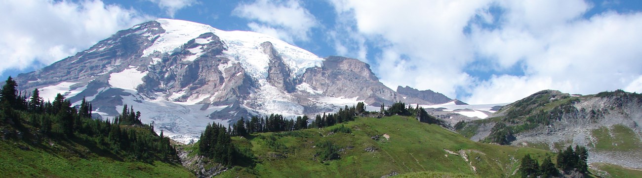 A cascading waterfall flows through the foreground. A lush green hillside and Mount Rainier fill the background.