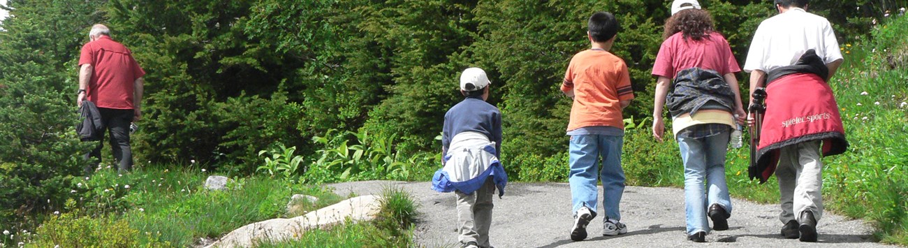 In the foreground, a group walks along a paved trail. Another walker carrying a jacket is a few steps ahead of the group on the path.