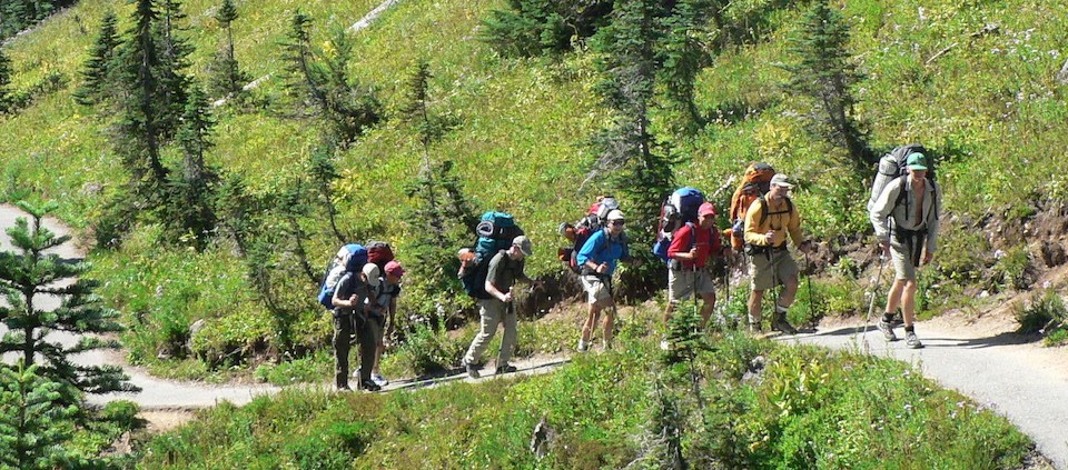 Several backpackers with large packs hike along a trail through a meadow.